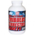 Tribulus Terrestris Forte
