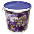 Laktofit 65 Whey Protein