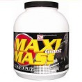 Maxi Giant Mass